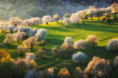 /album/brdarka-ked-vsetko-kvitne-2026/55a0180-copy-jpg/